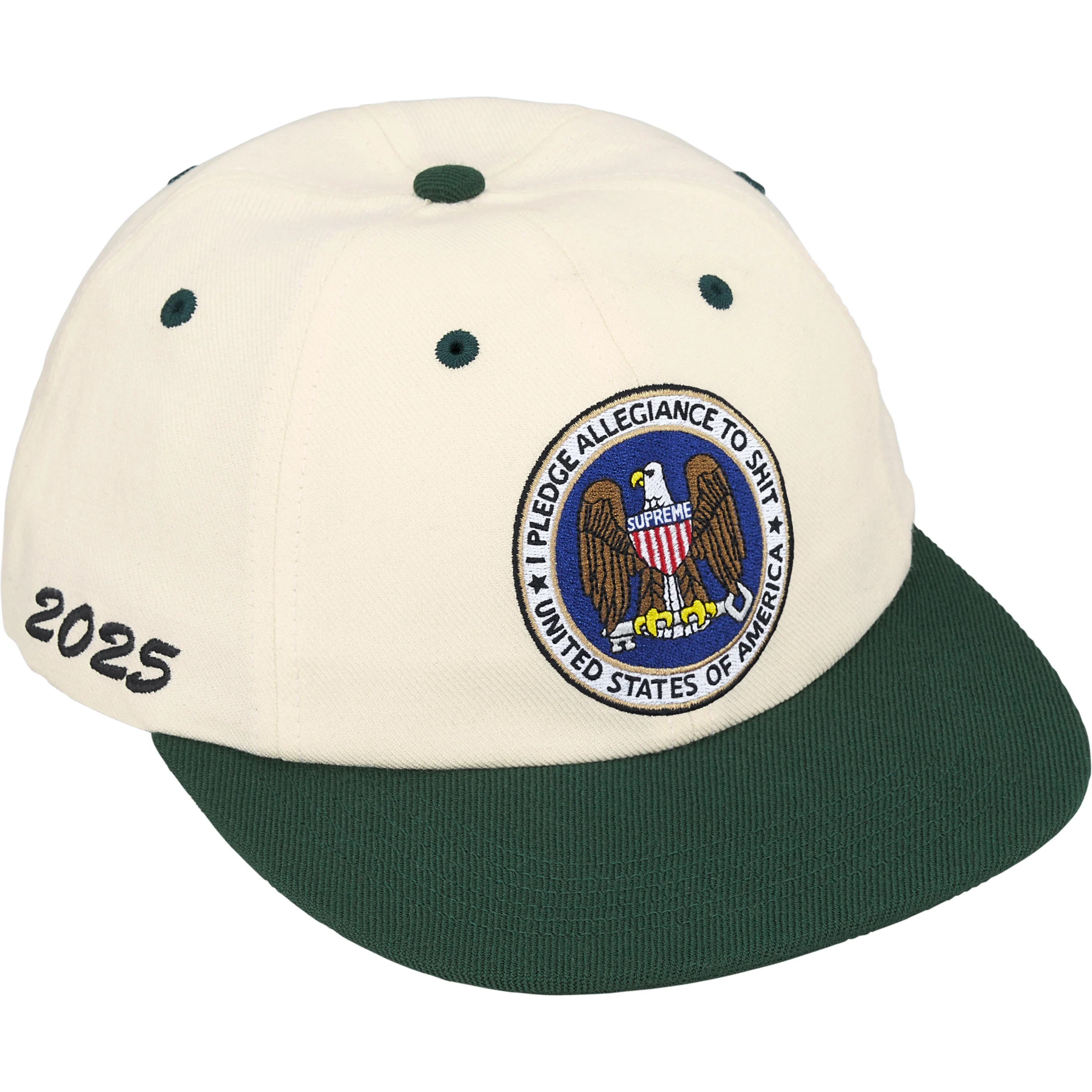 Pledge Allegiance 6-Panel view 12